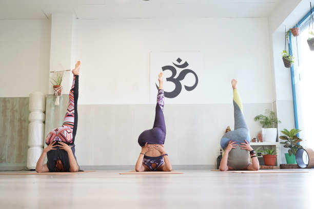 一群年轻的运动女性练习瑜伽，在Halasana伸展运动，犁式，工作图片下载