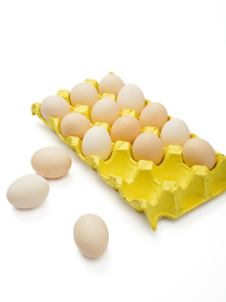白色背景上的鸡蛋图片下载
