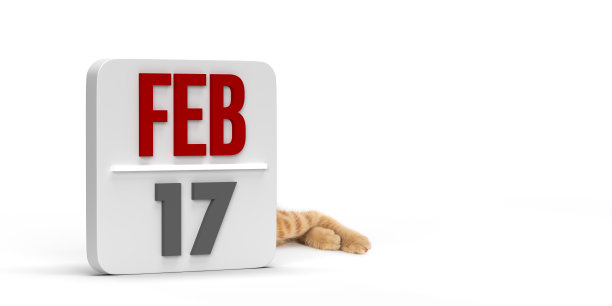 2月17日被宣布为隐藏猫腿的猫日图片下载