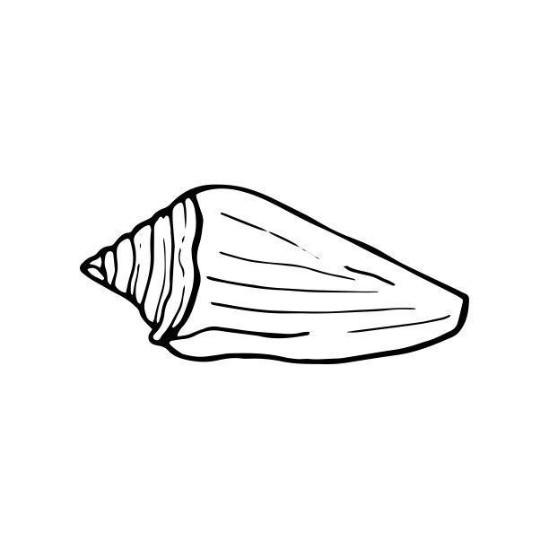 贝壳涂鸦集。手绘矢量海销售。图片下载