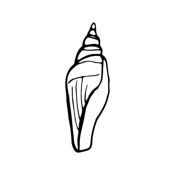 贝壳涂鸦集。手绘矢量海销售。图片下载