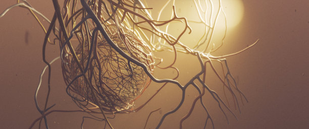 人体后眼解剖与血液供应在金色照明图片下载