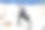 一个带公文包和夹克的年轻商人正在爬山。图片下载