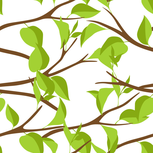 树枝和绿叶的无缝图案。春天或夏天的树枝。图片下载