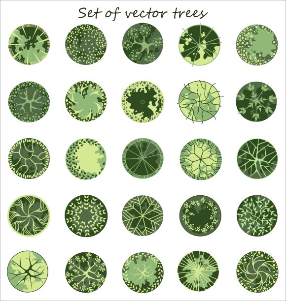 总体规划中的树木。建筑草图，绿树俯视图。随行人员设计。矢量插图。图片下载