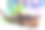 海洋鲨鱼特写图片下载