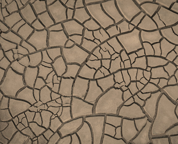 龟裂的棕泥，贫瘠土地的质地图片下载