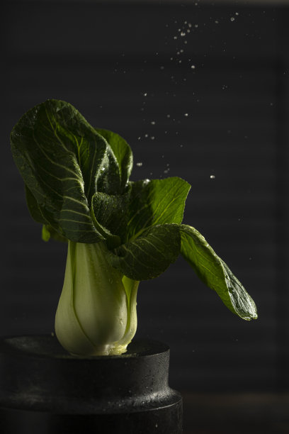 Bok choy(美式英语)，pak choi(英式英语)，或pok choi是餐桌上的一种中国卷心菜。图片下载