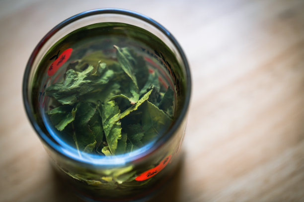 一杯绿茶图片下载