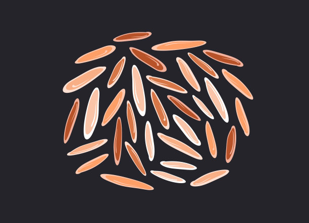 大米谷物。向量红，棕，白种子图片下载