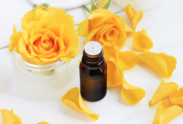 玫瑰精油用于芳香疗法和美容护理，新鲜的黄色花瓣图片下载