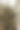 白色背景的桌子上圣诞树的小树枝。图片下载