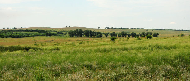 全景拍摄一个宽阔的山谷，稀疏的树木在山坡上。图片下载