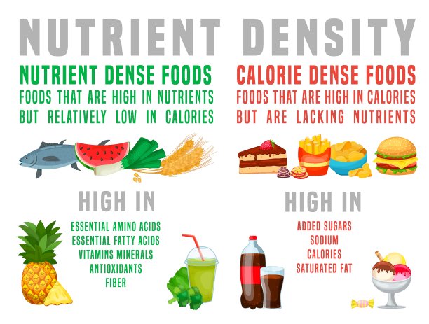 营养丰富的食物和热量丰富的食物。水平的海报。图片下载