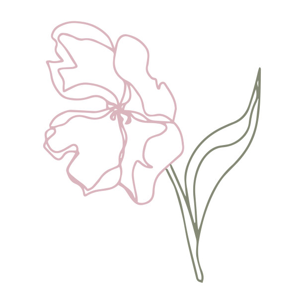 向量模式花与叶。植物插图壁纸，纺织品，织物，衣服，纸，明信片图片下载