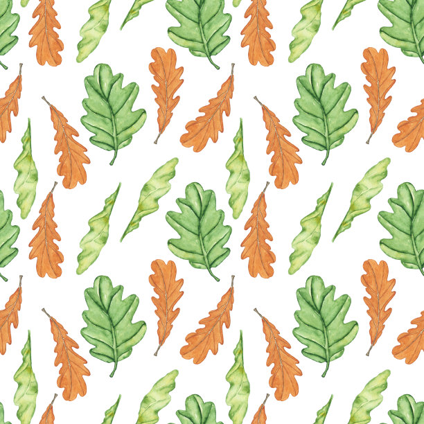 橡树叶绿色和棕色无缝图案在白色背景上。水彩手绘插图。水彩画秋叶壁纸。图片下载