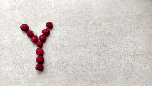 树莓字母Y俯视图上白色纹理的桌子，大树莓浆果图片下载