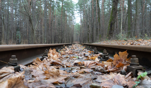 一个废弃的老木铁路的特写照片，散落着橙色和黄色泥泞的秋天枫叶。自然与坠落概念图片下载