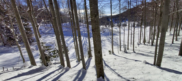 冬天的童话图片下载
