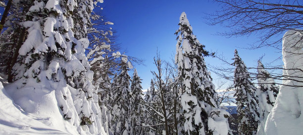 冬天的童话图片下载