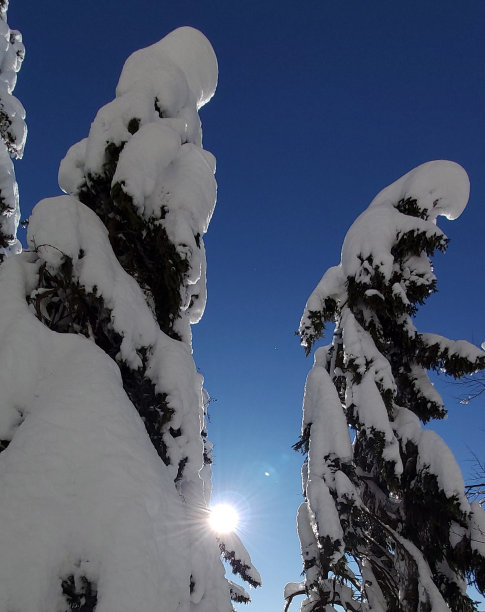 冬天的童话图片下载