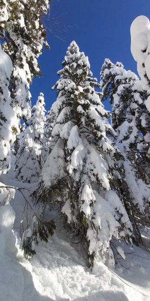 冬天的童话图片下载