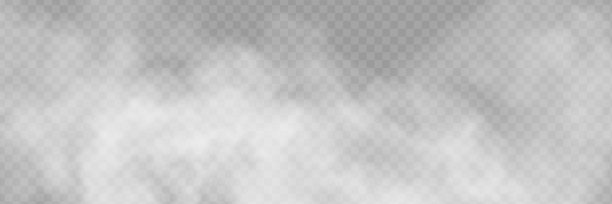 雾或烟隔离透明特效。白色矢量云，雾或烟雾背景。矢量图图片下载