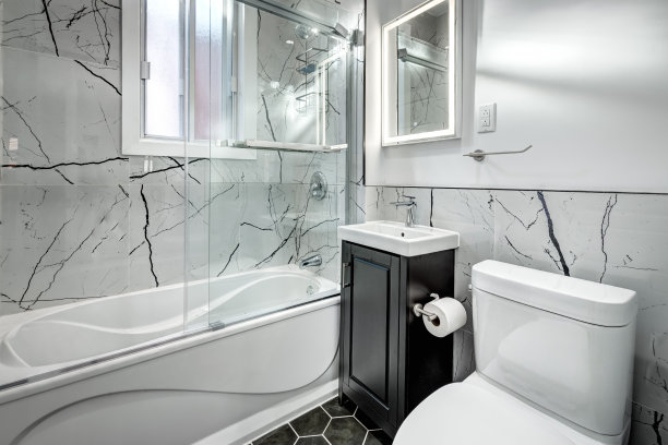 加拿大蒙特利尔，旧建筑2楼的豪华装修公寓图片下载