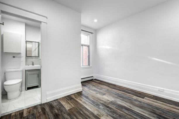 加拿大蒙特利尔，旧建筑2楼的豪华装修公寓图片下载