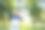 亚洲男子高尔夫球员在夏天阳光灿烂的一天高尔夫俱乐部的肖像。图片下载