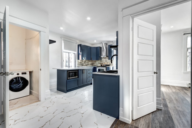 加拿大蒙特利尔，旧建筑2楼的豪华装修公寓图片下载