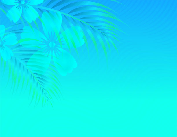 美丽的绿色柔和的热带背景。图片下载