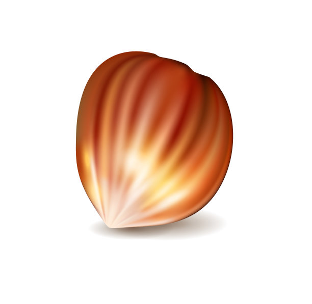 现实的螺母的概念图片下载