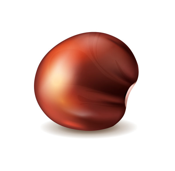 现实的螺母的概念图片下载