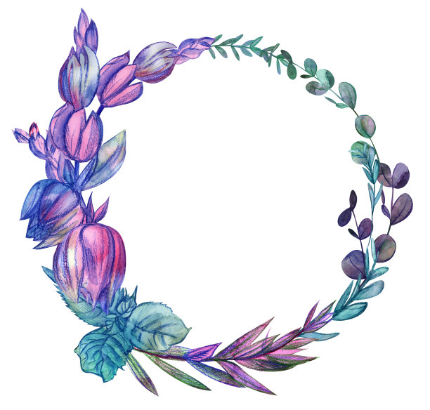 用丝兰花和小枝做卡片的圆框图片下载