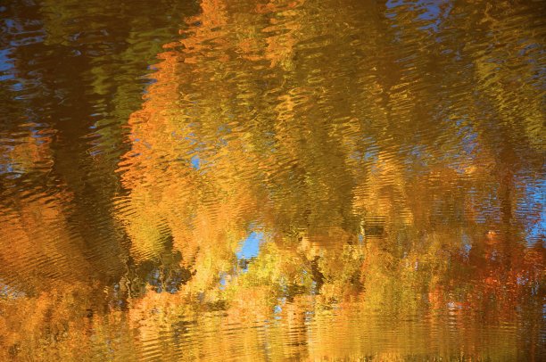 秋天的颜色图片下载