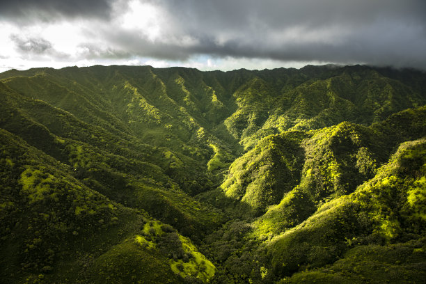 从上往下看郁郁葱葱的夏威夷岛树叶和地形图片下载