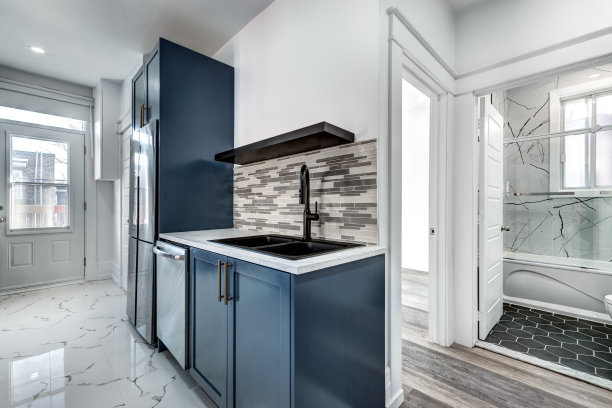 加拿大蒙特利尔，旧建筑2楼的豪华装修公寓图片下载