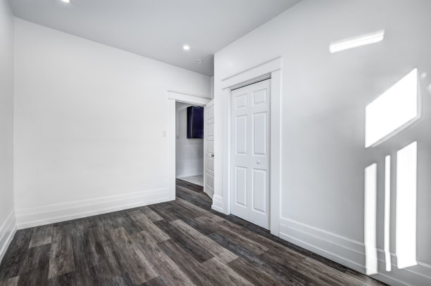 加拿大蒙特利尔，旧建筑2楼的豪华装修公寓图片下载