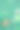 美丽的小瓢虫在春天花园里的花蕾上。春天夏天的背景。副本的空间。素材图片