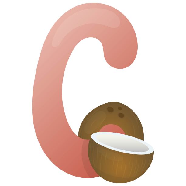 字母C和椰子在白色背景上，教育卡片。英语词汇和字母，矢量儿童图片下载