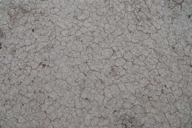 干旱时灰泥开裂图片下载