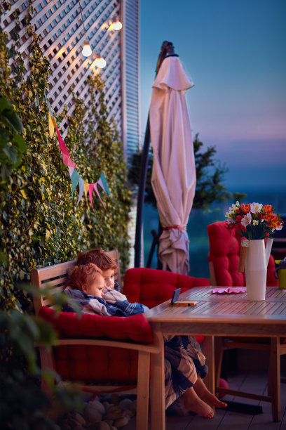 可爱的兄弟姐妹们玩得很开心，在电话里看卡通片，在夏天的晚上在舒适的屋顶露台上消磨时间图片下载