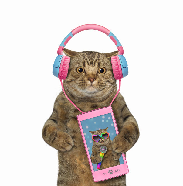 猫用智能手机听音乐图片下载