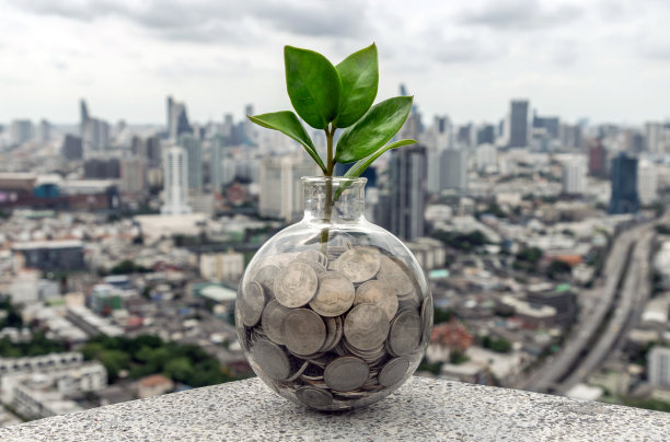 小树苗生长在一堆硬币在一个玻璃瓶在城市背景。图片下载