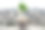 小树苗生长在一堆硬币在一个玻璃瓶在城市背景。图片下载