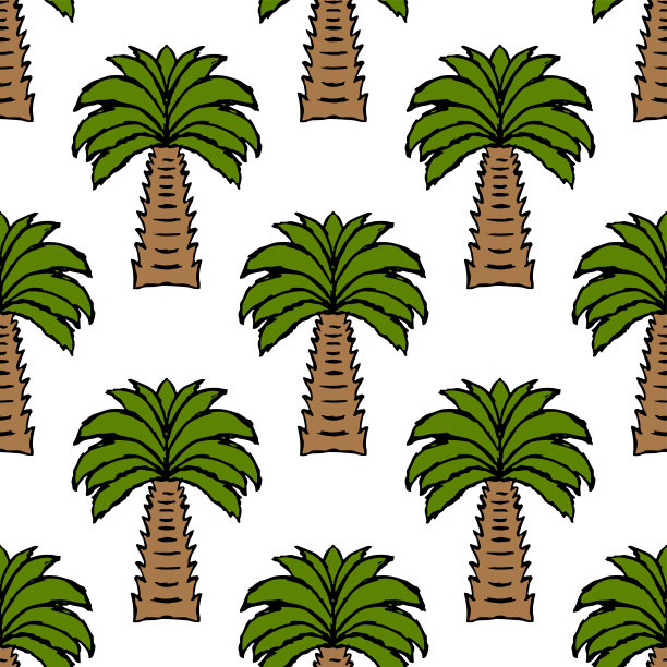 孤立在白色背景上的卡通棕榈树。无缝模式。手绘矢量图形插图。纹理。图片下载