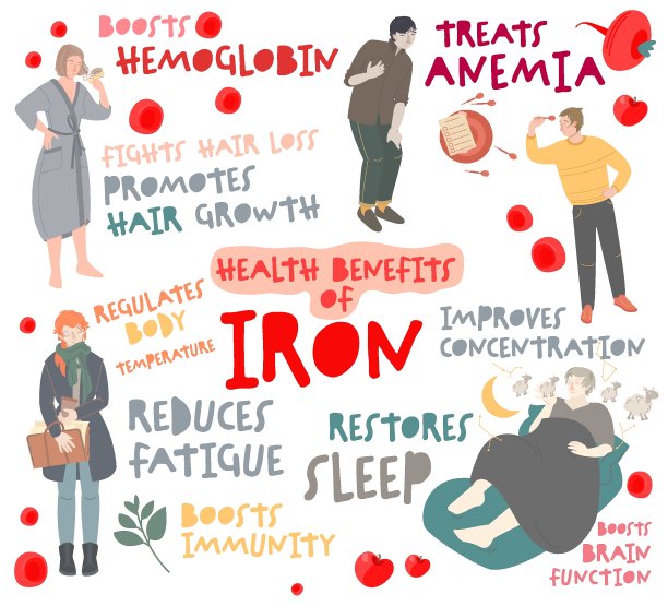 铁对健康的好处。为什么我们需要铁。图片下载