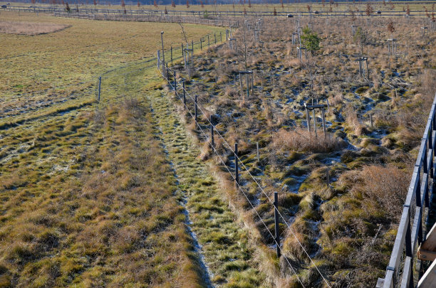 橡木栅栏，为老年人和不能移动的人提供无障碍通道。有一个大围场的野生动物园。边境有重兵把守，公园管理员，生物圈保护区，边境站都全副武装图片下载