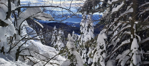 冬天的童话图片下载